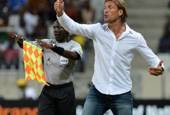 Hervé Renard est un Eléphant