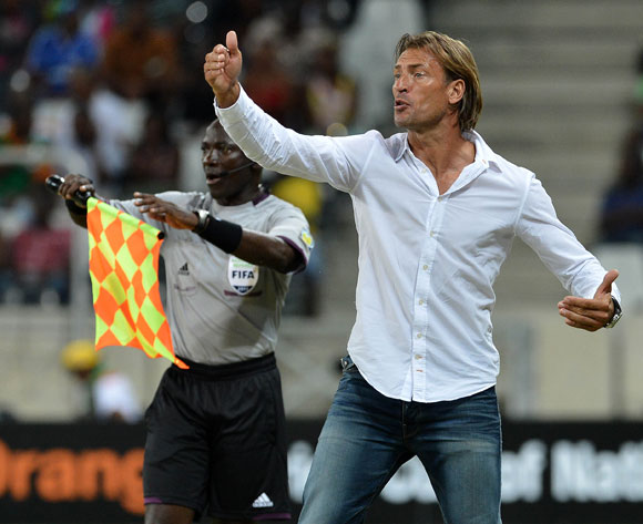 Hervé Renard est un Eléphant