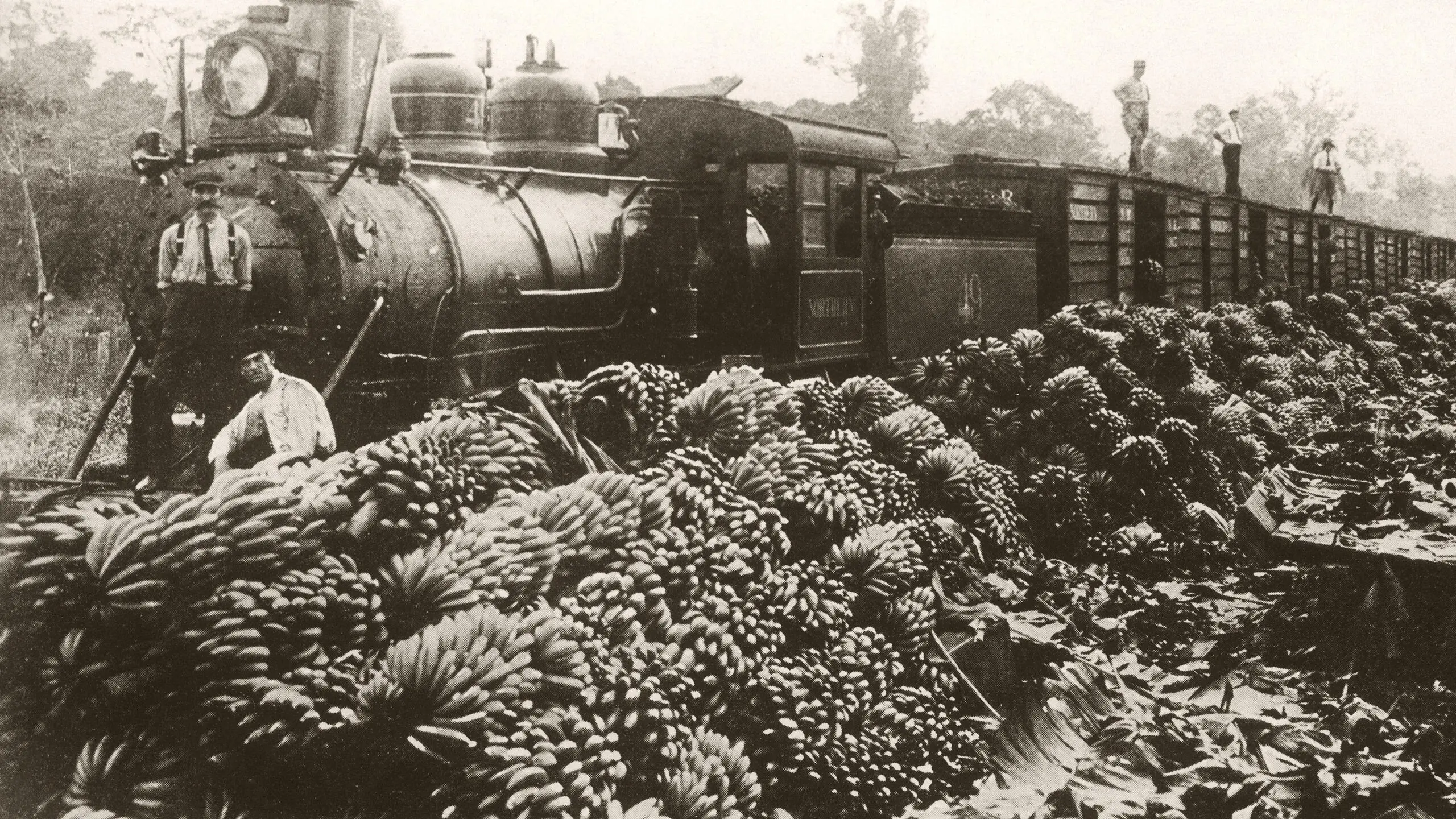 Marcus Garvey, the Man Who Wanted to Organize the Black World