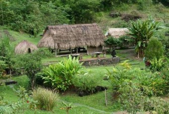 La savane des esclaves, histoire et traditions martiniquaises