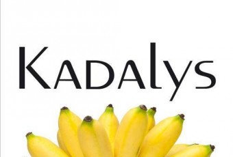 Kadalys, première marque de cosmétologie naturelle aux actifs de bananier