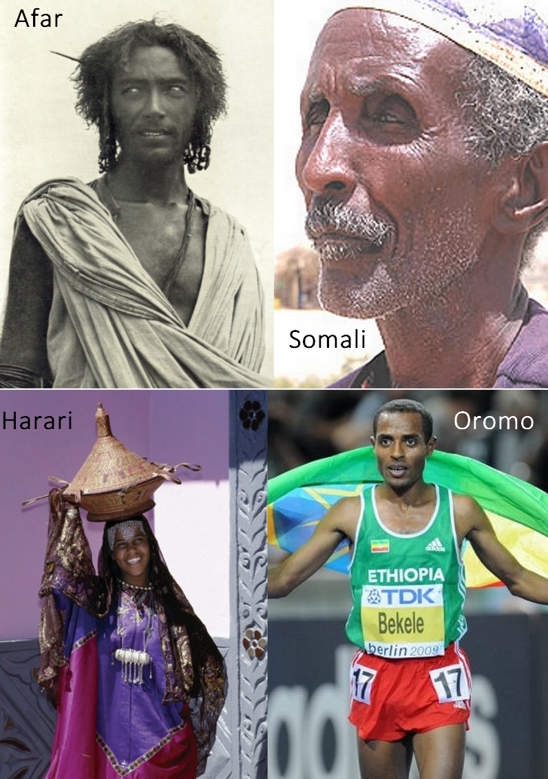 Varietes Des Origines Ethniques Dans Une Population