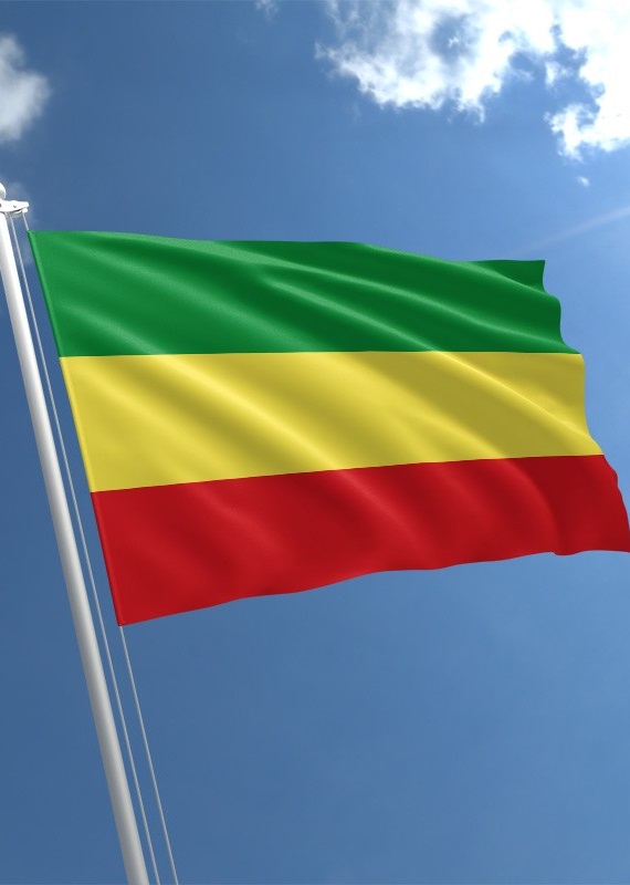 Pourquoi les drapeaux de tant de nations noires ont-ils les mêmes couleurs ?