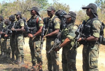 Boko Haram au Cameroun : Intérêts et perturbations