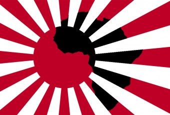 Ariana Miyamoto : caution japonaise pour le marché africain ?