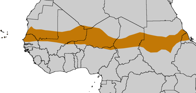 Le réchauffement climatique devrait faire du bien à l’Afrique