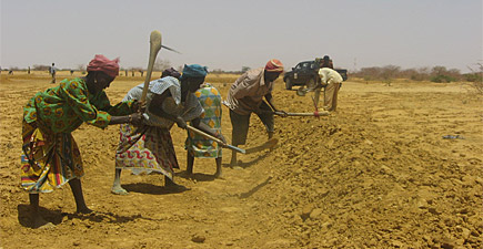 Selon l’ONU, 1/4 des Nigériens sont menacés par l’insécurité alimentaire