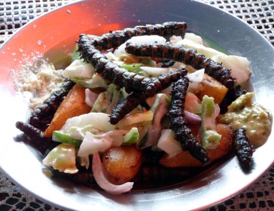 Salade de Chitoumou (chenilles) burkinabé