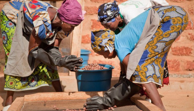 Production du beurre de karité: Un art ancestral maîtrisé par les Femmes Africaines