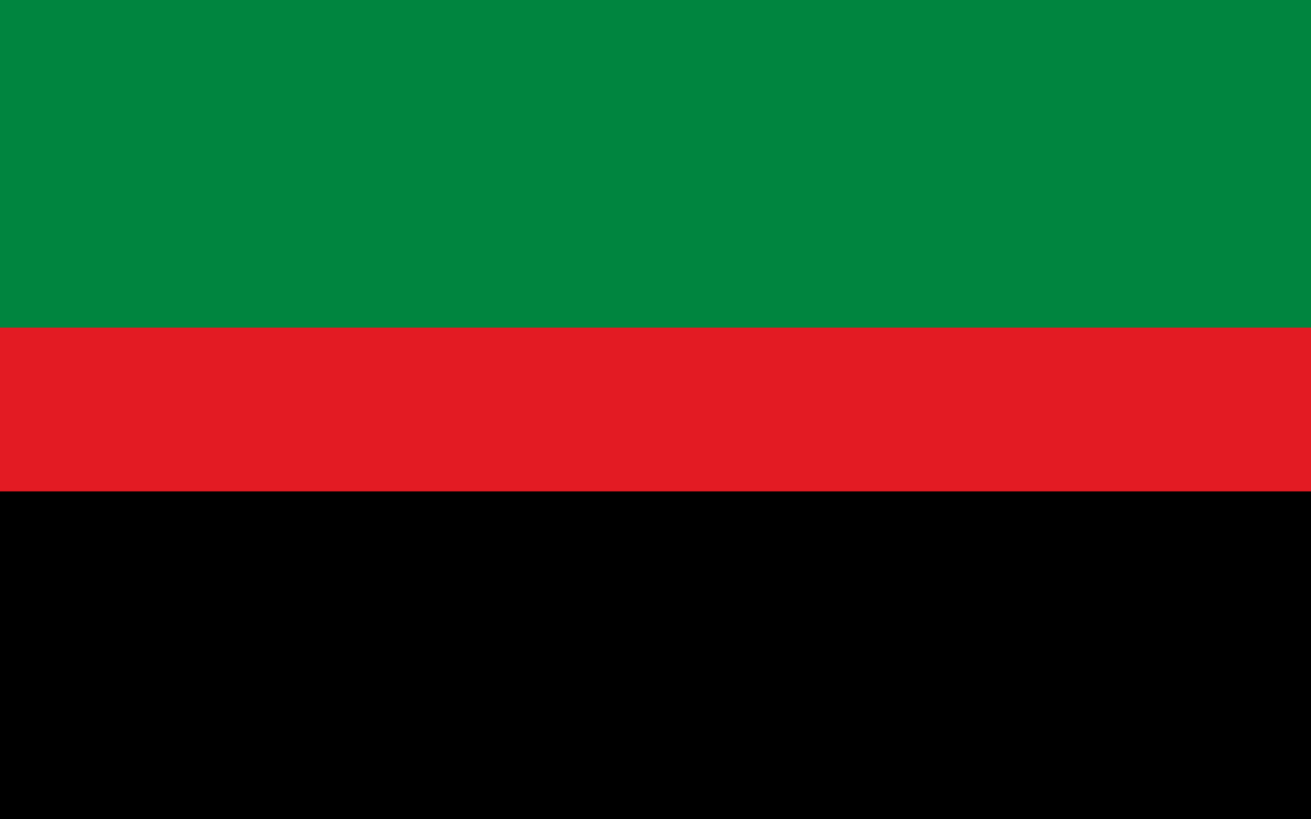 Republic of New Africa : Un Mouvement pour un État Noir Autonome aux États-Unis