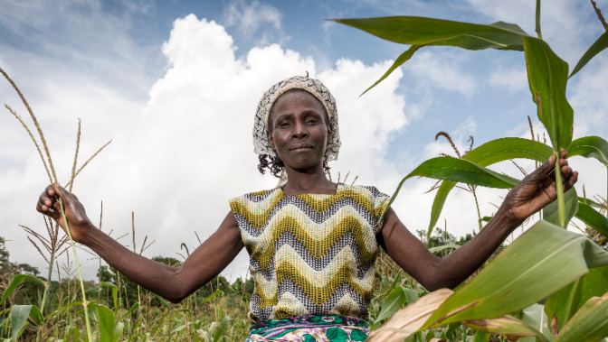 5 raisons d’investir dans l’industrie agro-alimentaire en Afrique