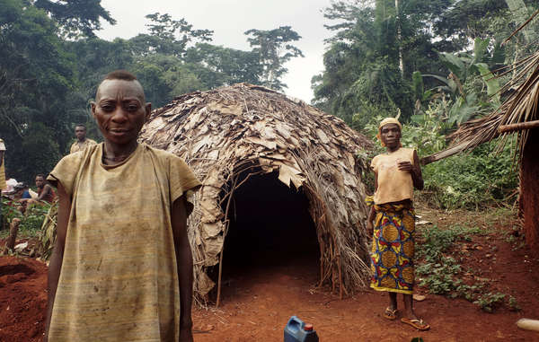 Une ONG dépose une plainte contre WWF pour violation des droits de l’Homme au Cameroun