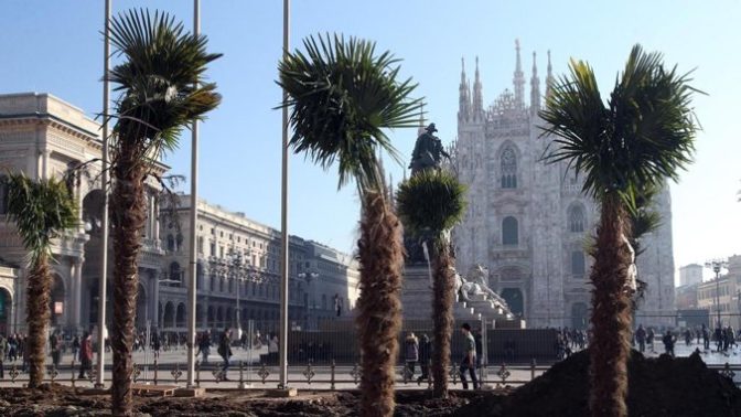 Italie : des palmiers brûlés après une manifestation contre l’africanisation des lieux