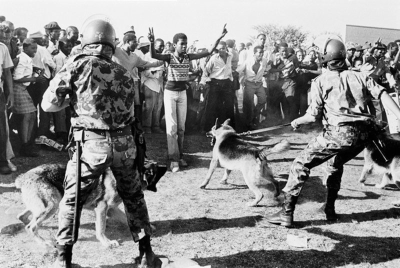 Le Massacre De Soweto Ou La Sanglante R pression Polici re Contre La 