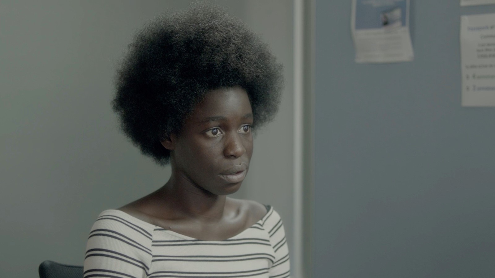 “Le bleu blanc rouge de mes cheveux” ou la critique d’une société française figée