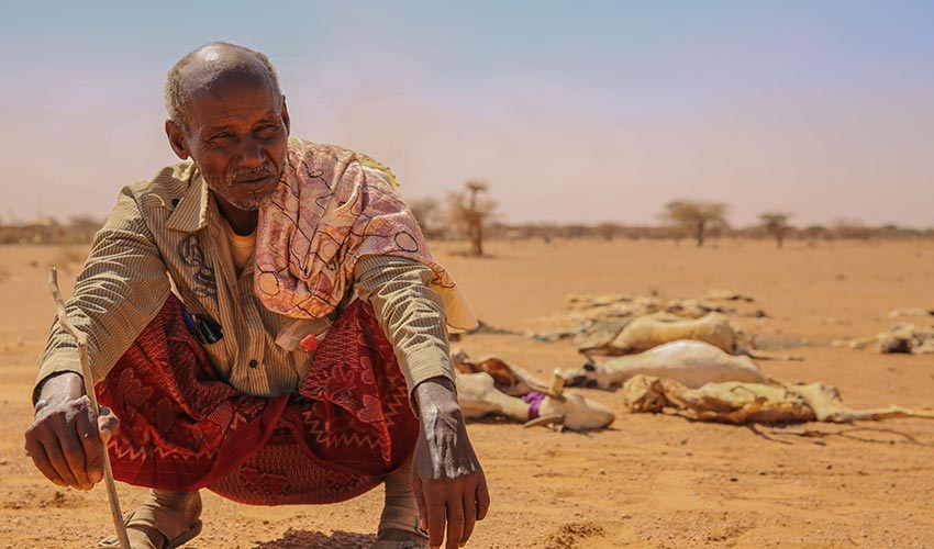 La famine s’accroît en Afrique du fait des conflits et du changement climatique