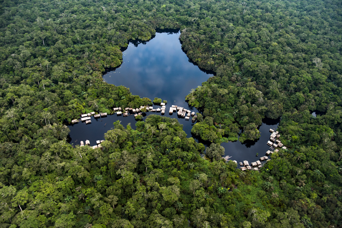 RDC: deux compagnies chinoises se partagent 650 000 ha de forêt