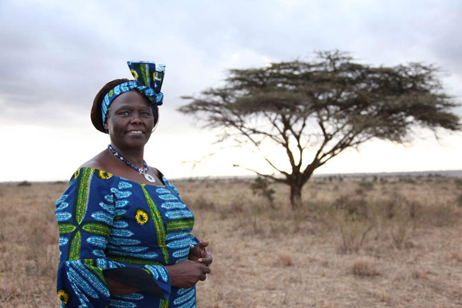 Wangari Muta Maathai : la femme des arbres