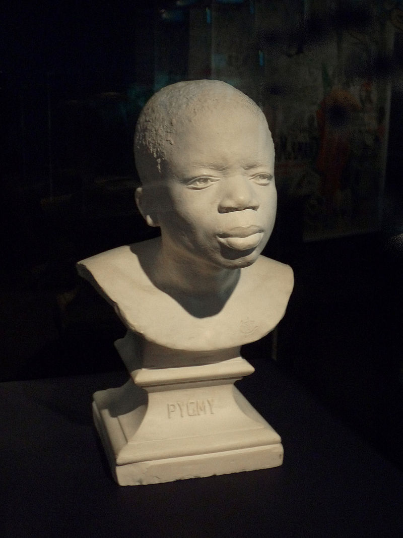 Le périple d'Ota Benga dans les zoos humains Le périple d'Ota Benga dans les zoos humains