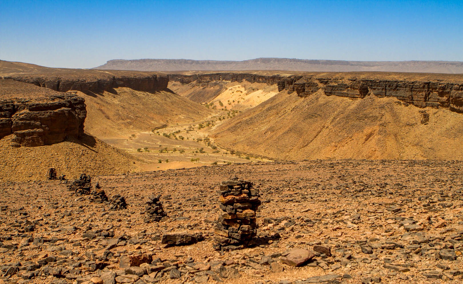 Les multiples visages du Sahara