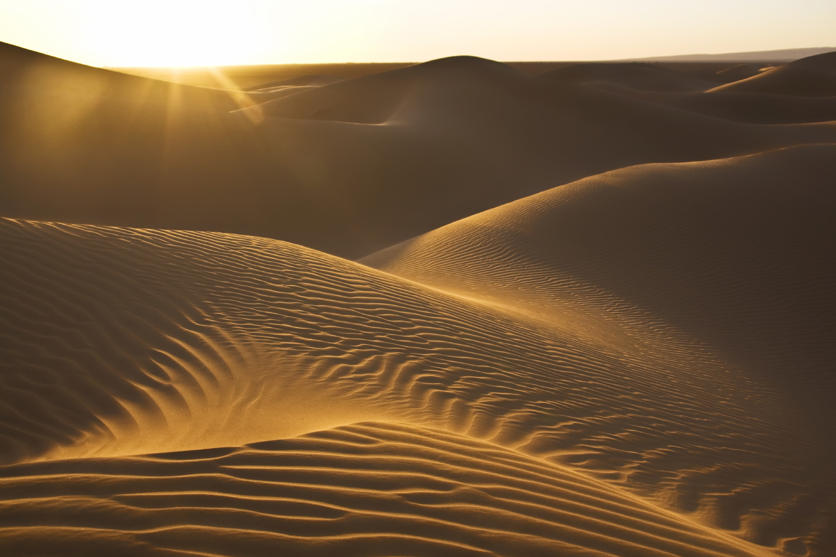 Les multiples visages du Sahara