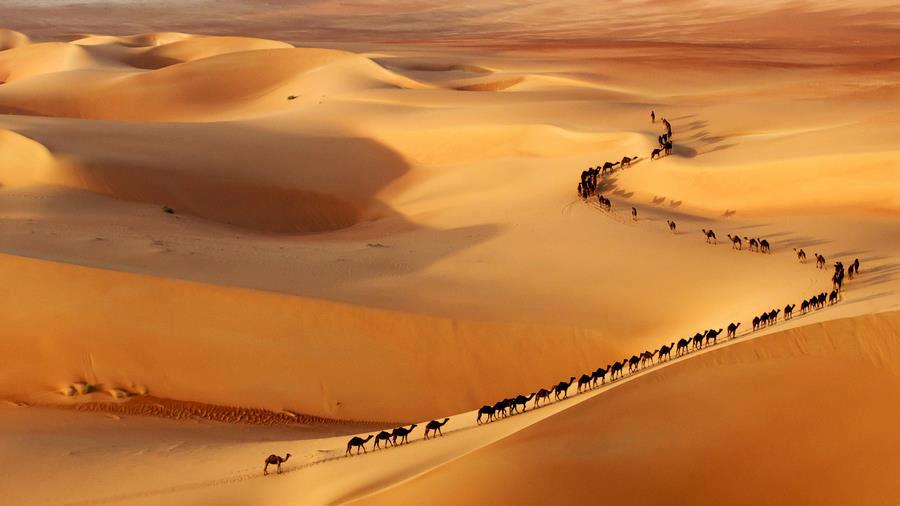 Les multiples visages du Sahara