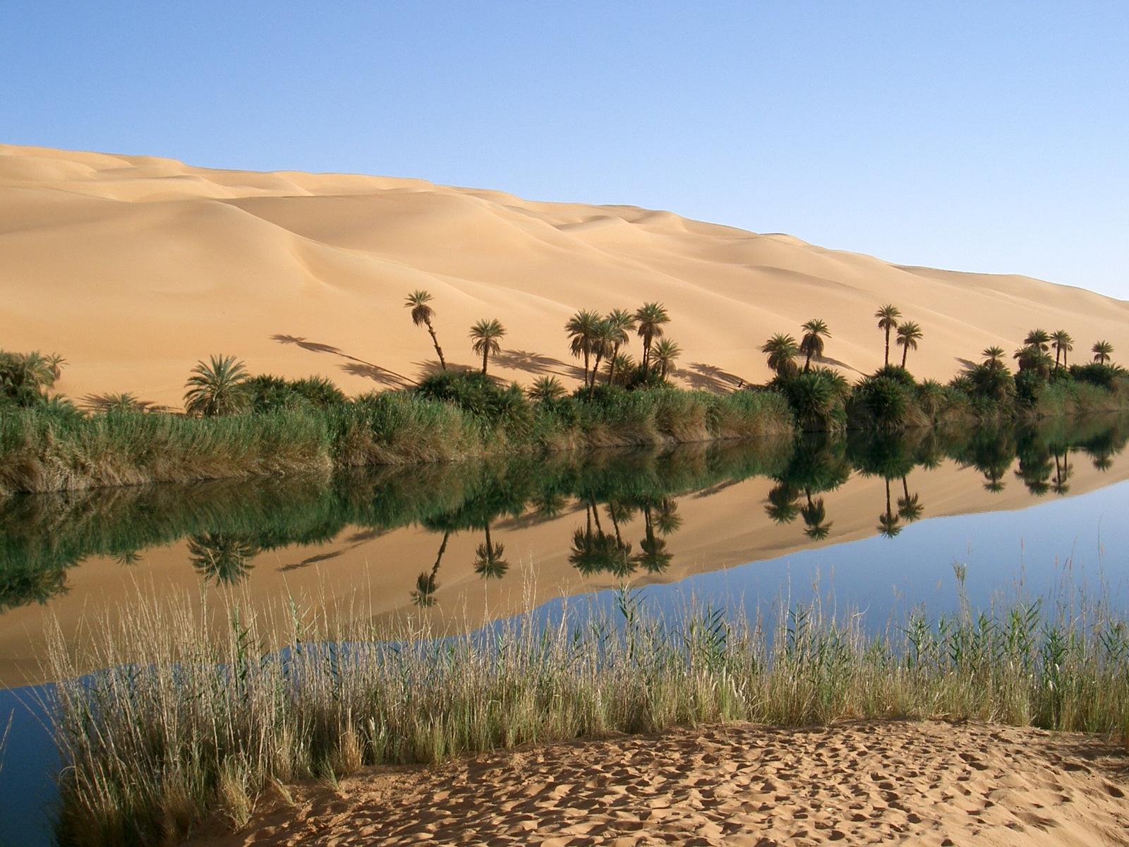 Les multiples visages du Sahara