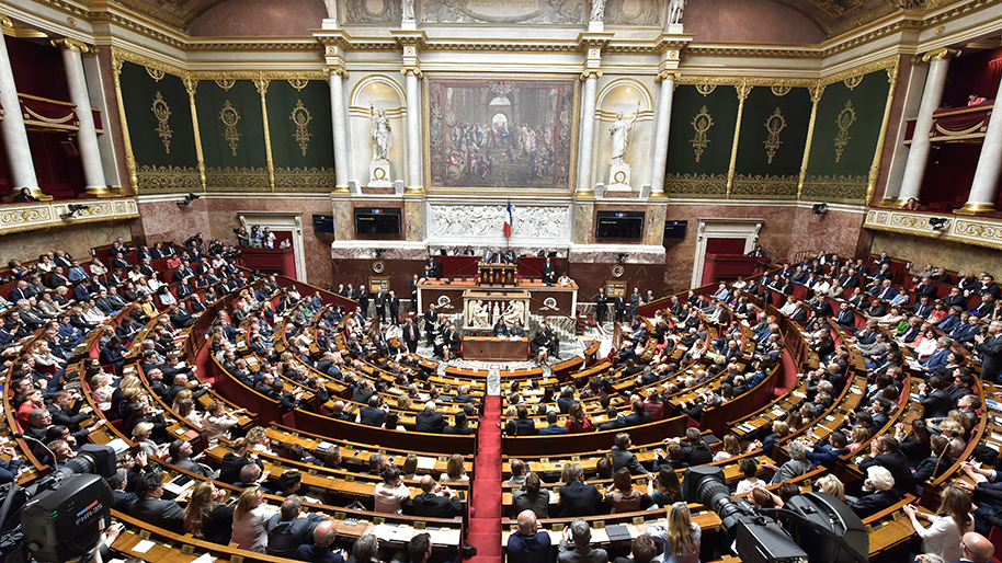 Le mot « race » enfin supprimé de la Constitution?