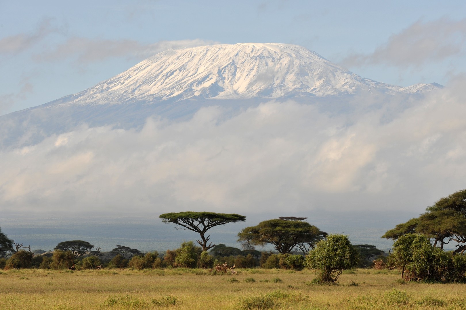 Le Kilimanjaro