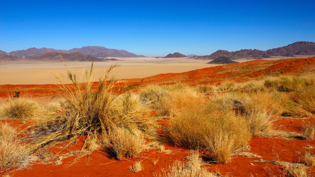 Désert de Kalahari, Namibie