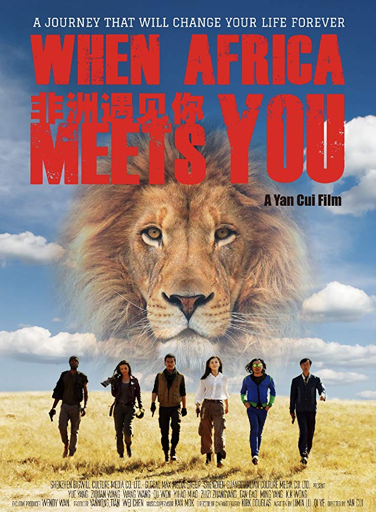 affiche du film "When Africa meets you"