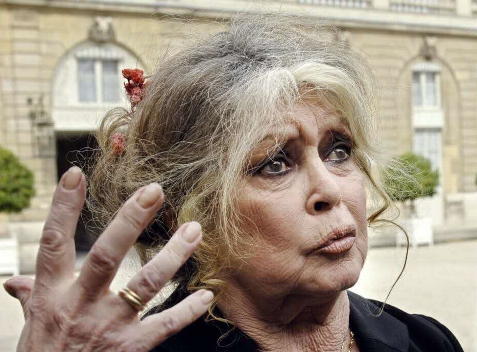 Affaire Brigitte Bardot: Le CRAN saisit le procureur de la République