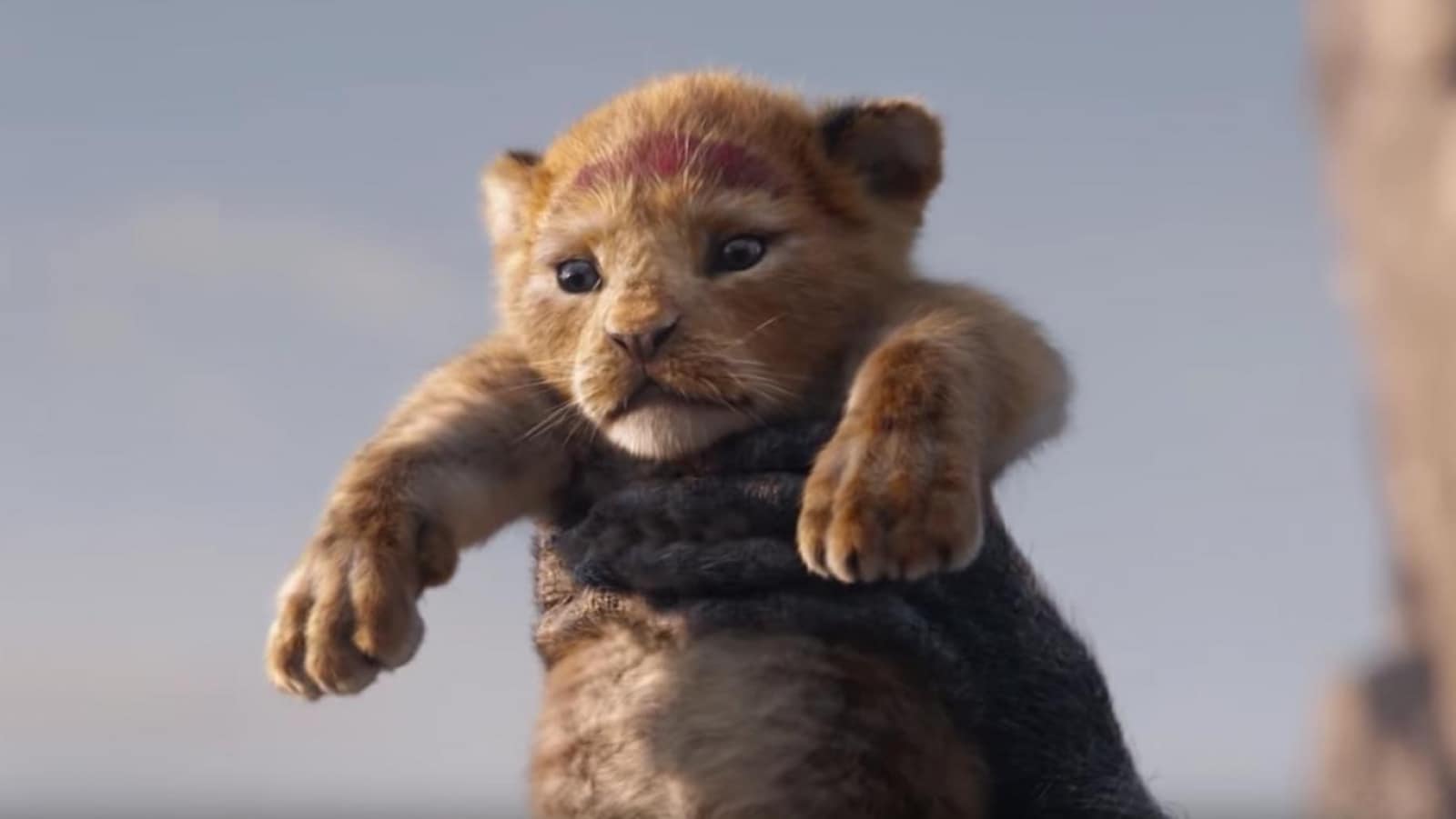 Le Roi Lion en 3D ? Je n'irai pas le voir, j'ai peur d'être déçue