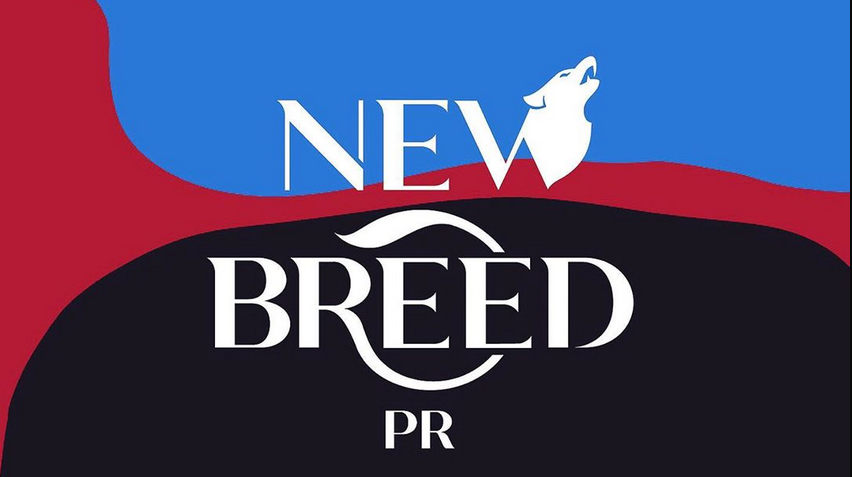 New Breed PR : la 1ère Agence dédiée aux artistes afro-caribéens est née!