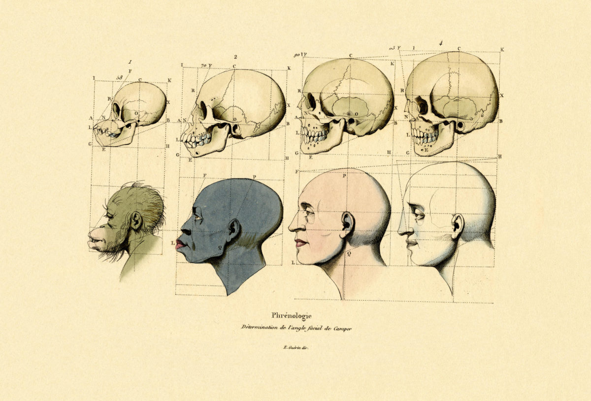 10 théories scientifiques négrophobes