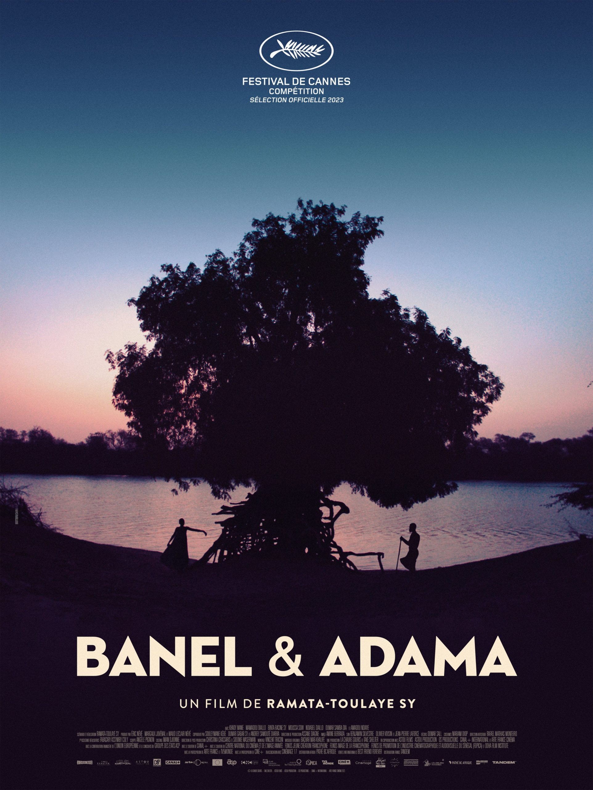 Banel et Adama ou le prix de la liberté, par Ramatoulaye Sy