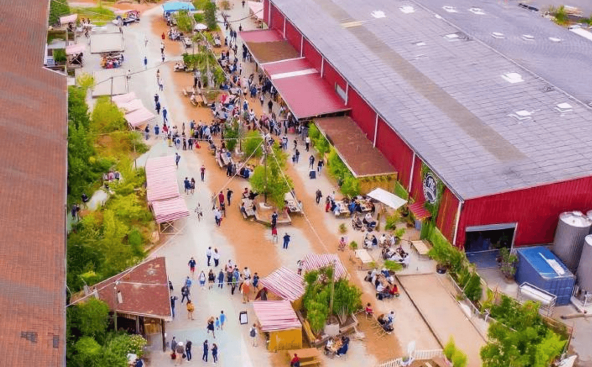 Festival Planète Résilience : L’événement Engagé pour un Monde Meilleur