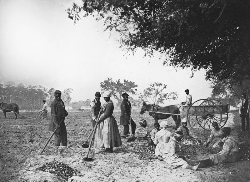Péonage aux États-Unis : l'histoire obscure de l'esclavage après 1865