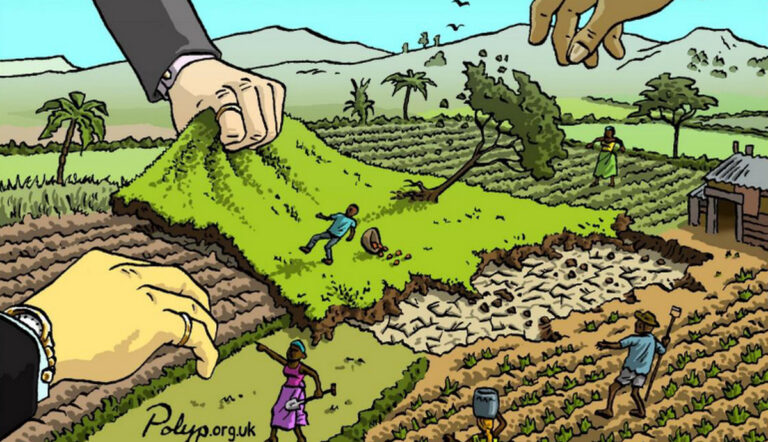 Le ‘land grabbing’, nouvelle facette du colonialisme