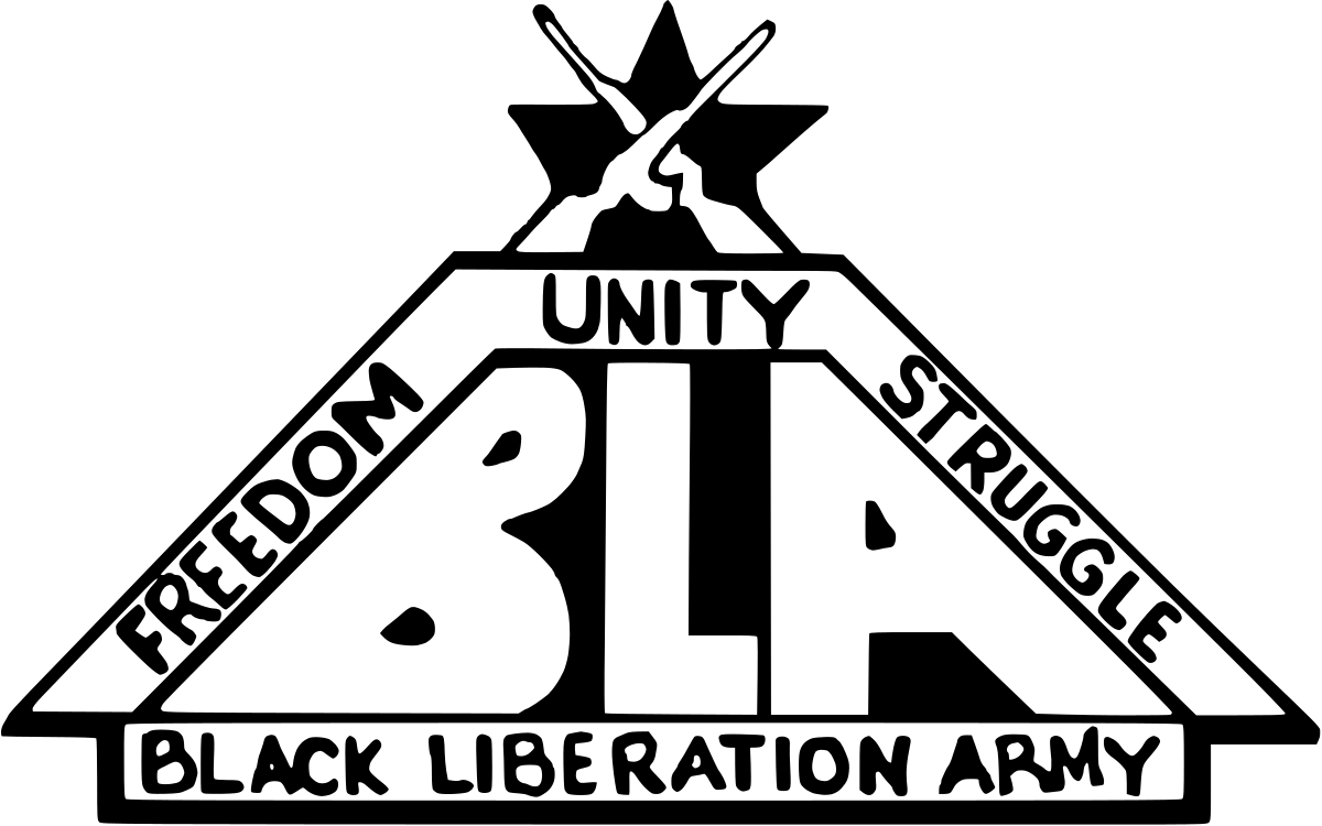Black Liberation Army, l’histoire secrète de la guérilla noire américaine (1970–1981)